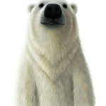 Polar-Bear