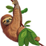 Sloth